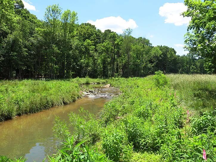 Meadow Creek Stream Restoration Landscape Performance Series